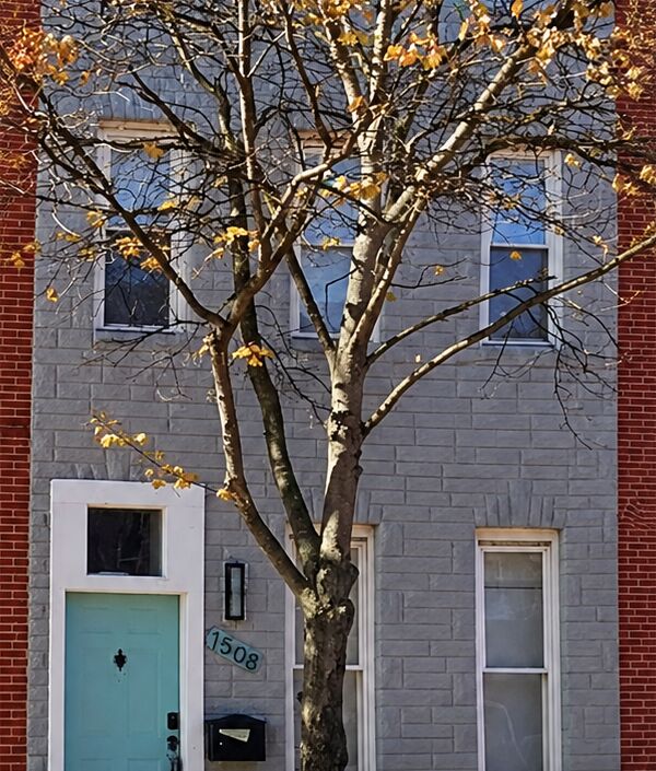 Refinance financed at 1508 N Caroline St, Baltimore, MD 21213